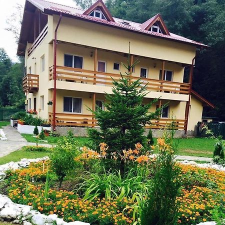 Pensiunea La Padure Cheia, Prahova Hotel Maneciu Exterior photo