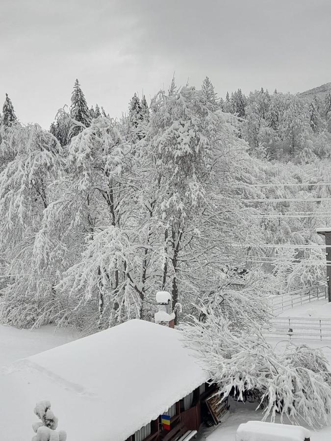 Pensiunea La Padure Cheia, Prahova Hotel Maneciu Exterior photo