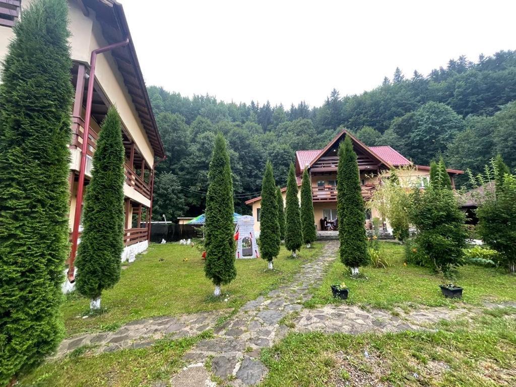 Pensiunea La Padure Cheia, Prahova Hotel Maneciu Exterior photo